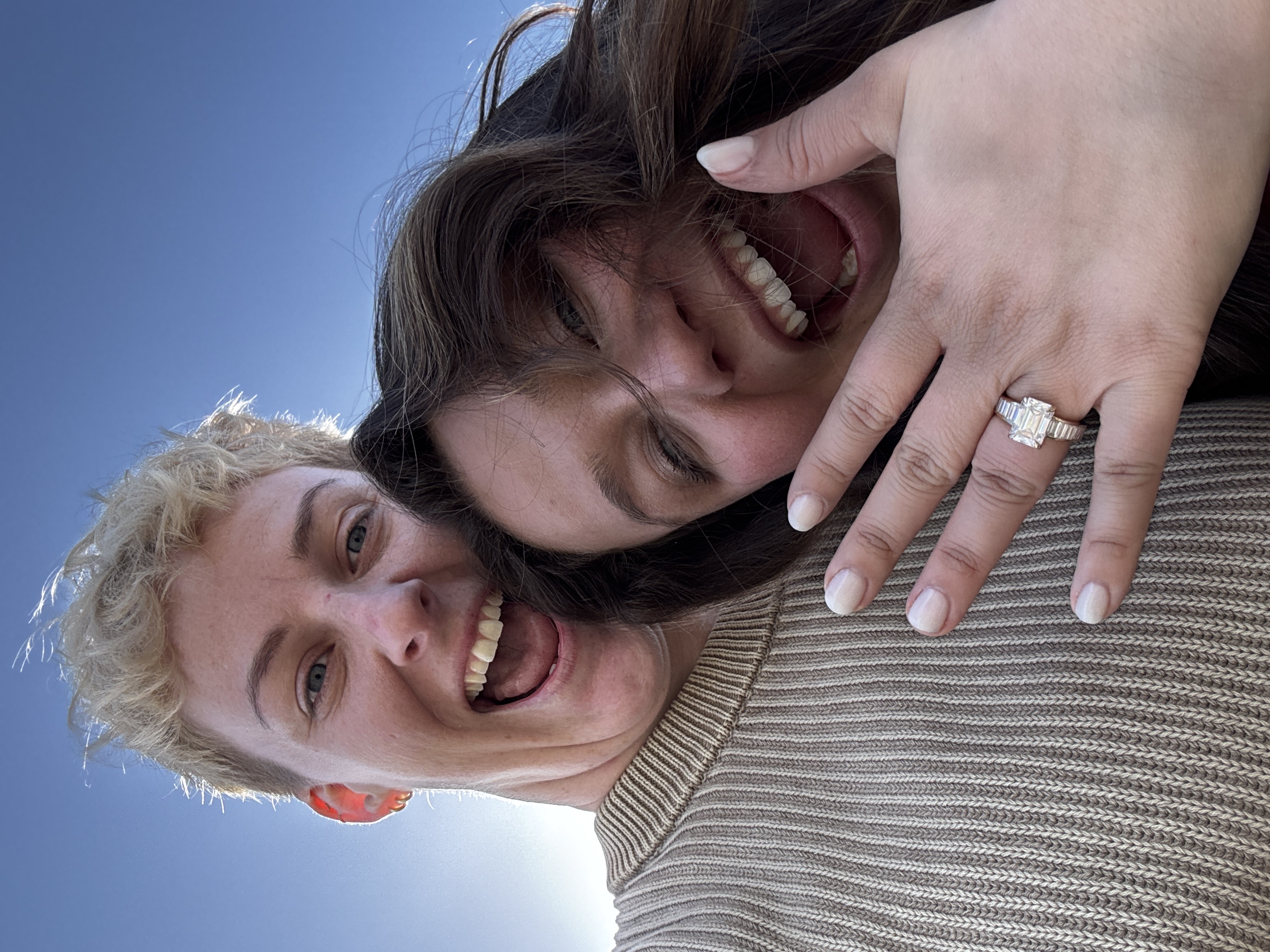 The Proposal - Photo 2